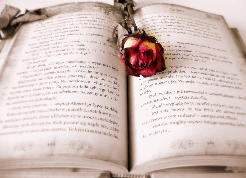 Time-Travel Books